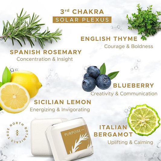 Large Shower Steamers (12 Pack-1.75oz Each) Chakra Aromatherapy Optimism & Self-Esteem-Ideal Men/Women/Teens Christmas & Birthdays (3rd Chakra - Blueberry, Bergamot, Thyme, & Lemon)