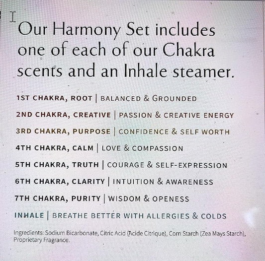 Shower Steamers for Women: Aromatherapy Bombs, Vapor Tablets, Individually Wrapped