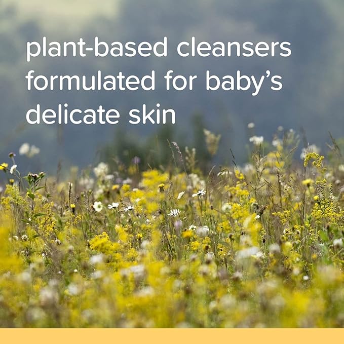 Burt's Bees Baby Bee Shampoo & Wash, Tear Free, 12-Ounce Bottles (Pack of 3)