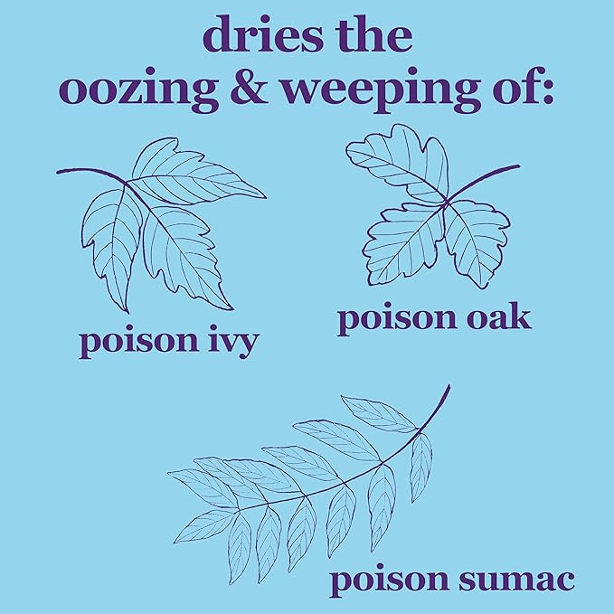 Zinc Oxide 20% Healing Ointment Skin Protectant Barrier 15 Oz Jar Provides Relief and Treatment of Diaper Rash, Chafed Skin, Poison Ivy, Oak, Sumac for Adults and Babies